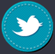 Follow us on Twitter!