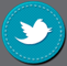 Follow us on Twitter!